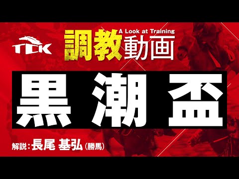 【第59回 黒潮盃(SIII)】の調教追い切り動画