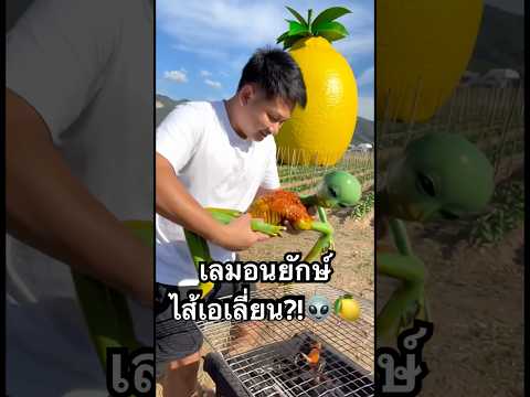 เห้ย! เลมอนยักษ์ไส้เอเลี่ยน?! จับมาย่างหมาล่ากินโชว์!🍋👽🔥 #หมาล่า #เอเลี่ยน #Viral #ASMR #lemon