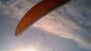 Dancing in the air...