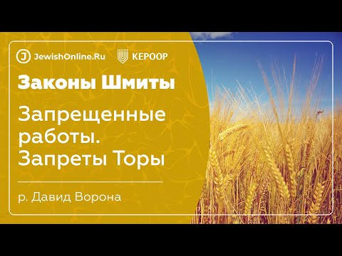Законы шмиты. Урок 3: Запрещенные работы. Запреты Торы