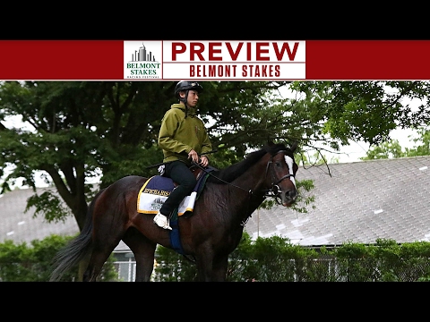 Epicharis Treated for Lameness - The Japanese-owned horse Epicharis still plans to