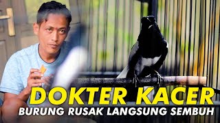 Download lagu Kacer Doctor: How to Repair a Damaged Kacer So It Can Become a Champion Again mp3