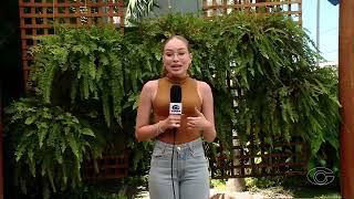 CRB tem ausências no ataque para jogo decisivo contra CSA - 20/2/26