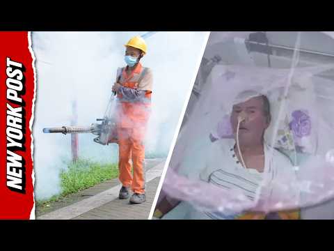 Pandemic fears sparked in China over chikungunya virus: What you need to know