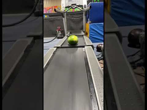Wassermelone im Gym😂