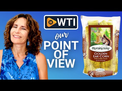 Morning Song Ear Corn Wildlife Food - WTI product video review