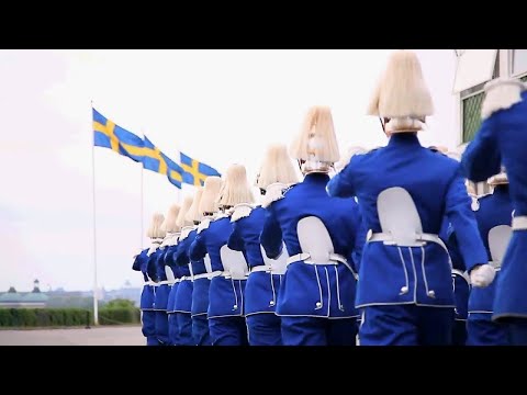 Swedish military song [Vi går fram fram fram]