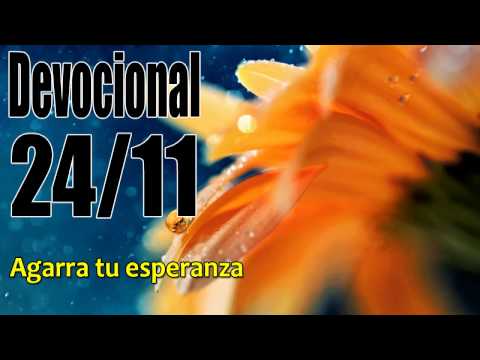 Agarra tu esperanza.  Devocional John Piper solid joys 24/11