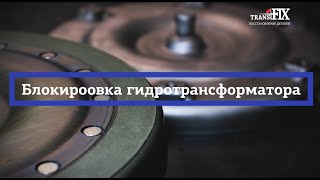 OBD 17124 Skoda как устранить