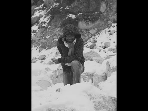 Frantik Krantik - Trips