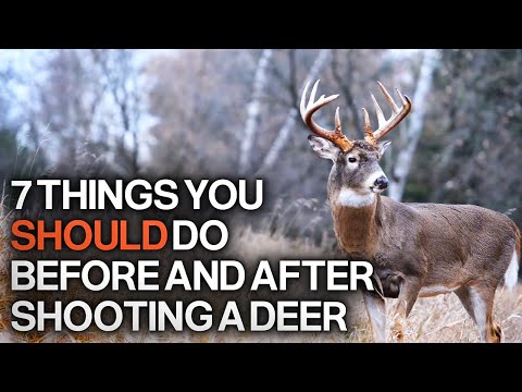 7 Things to Do Before and After You Shoot a Deer