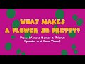 What Makes A Flower So Pretty EDITED SONGS SUBSCRIBE