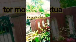 Download lagu pejuwang rupiah renteng,tor monitor ketua mp3