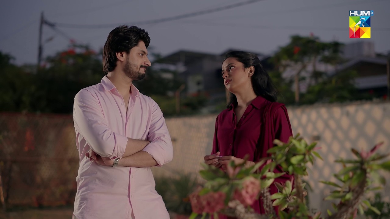 Tum Bulao Gi Tou Jaldi Wapis Aajao Ga..! Tark-e-Tamanna - ft. Mirza Zain Baig - HUM TV