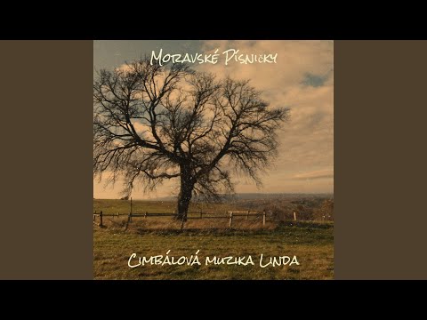 Perina Má Čtyry Rožky