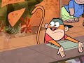 Human Good Food My Gym Partner S A Monkey