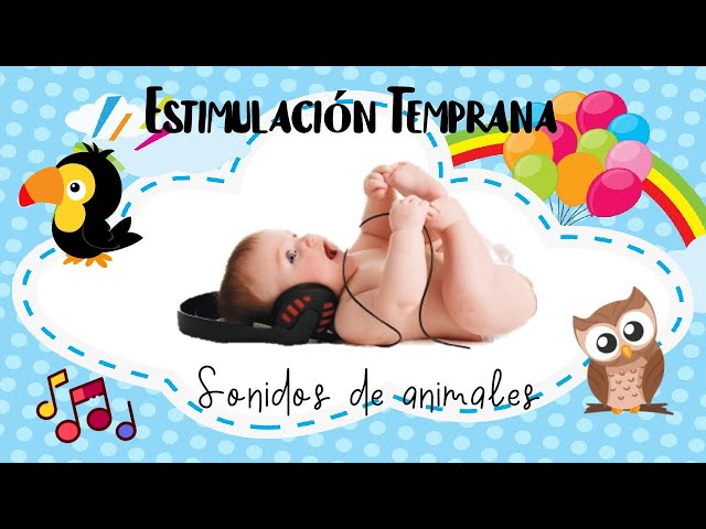 Vídeo relacionado con Historia Secreta De La Corporacio (http://)