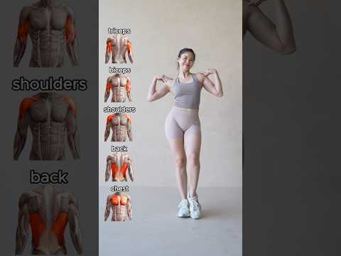 💪🔥Beginner Upper Body Program | 5 Exercises