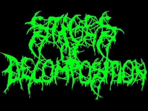 Stages Of Decomposition - Chainsaw Disemboweled Cadaver
