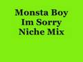 Monsta Boy Im Sorry NIche Mix 