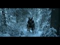 Erevan Tusk - Cassidy (Official Video) 