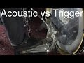 Double Bass: Acoustic vs. Trigger