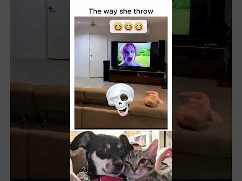 🤣👌2026 pov Must-Watch Crazy Clips Compilation #humor #fypシ #pov #fyp #foryou 😍😜