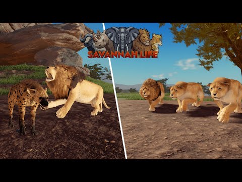 Lion Hunting Everyone in Savannah Life ⏐ ROBLOX 🦁