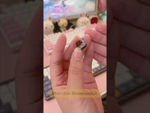 Phụ kiện bàn phím cơ Nuphy Air