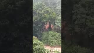 preview picture of video 'KeralaFloods #KeralaDevastations #God Save God's Own Country - KERALA #PrayForKerala #KeralaKehar'