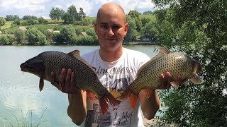 Система для ловля карпа на пружину летом