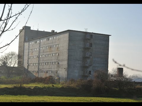 Erfolg: Das Schweinehochhaus steht 2 Jahre leer!