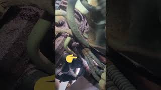 1999 Ford e450 super duty powersteering line change