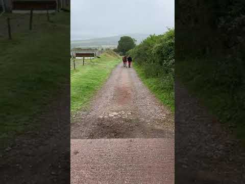 Video 3