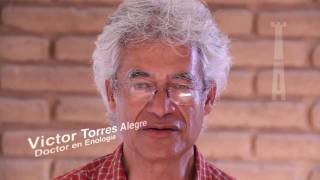 preview picture of video 'Corchos y Tapones - El Vino, La Enología y La Vitivinicultura: Arte y Experiencias'