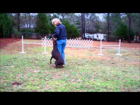 Fi SB 4 Initial Sequencing 2 12 14