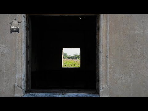 LA FINAL DE MANDAT | SEACA DE CÂMP | JUDETUL DOLJ