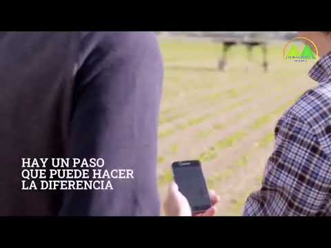 Colonias Radio Y Tv Hohenau Itapua