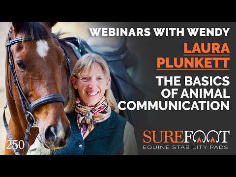 No. 250. Laura Plunkett - The Basics of Animal Communication