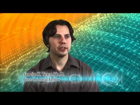 Basic Research and the Human Genome