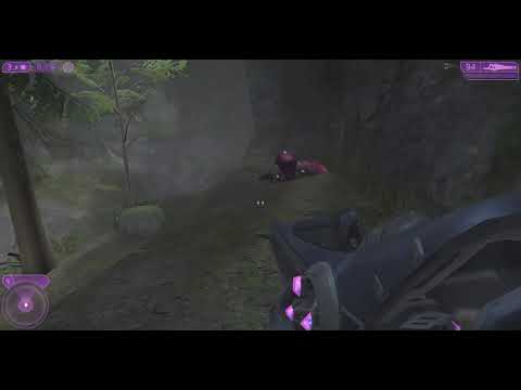 how come there no arbiter grunt