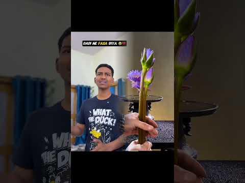 don't miss and 😱 #minivlog #kabutarandekabdetehain #comedyvideo #shortvideo