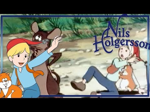 Nils Holgersson: Graufell - Folge 20 auf Deutsch in ganzer Länge