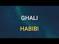 🎧 GHALI - HABIBI (SLOWED & REVERB)