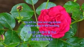 Till Tomorrow - Don McLean: Greenwood Village, Colorado on July 5, 2017