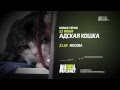 Адская Кошка. Новый сезон с 23 июня 2014 