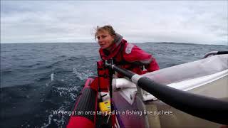 The Appleseed Cast - Losing Touching Searching (Set to Seeking Life Adventures)