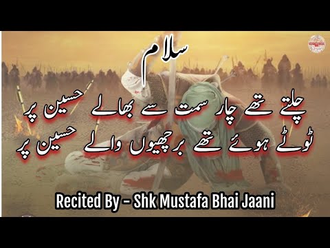 Chalte The Chaar Simt Se Bhale Husain Par | Salam | Noha | Shk Mustafa Bhai Jaani | Marsiya dawoodi