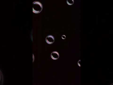 Rudi 4 zu 8 🎤😍😍