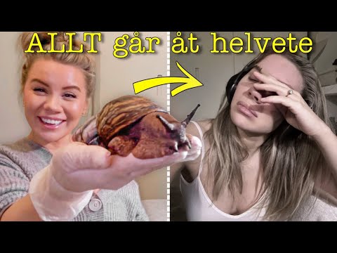 JAG ORKAR INTE MER... | vlogg